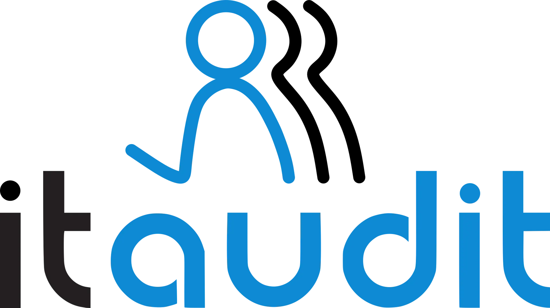itaudit